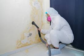 Environmental Consulting for Mold Prevention in Frankfort, IN